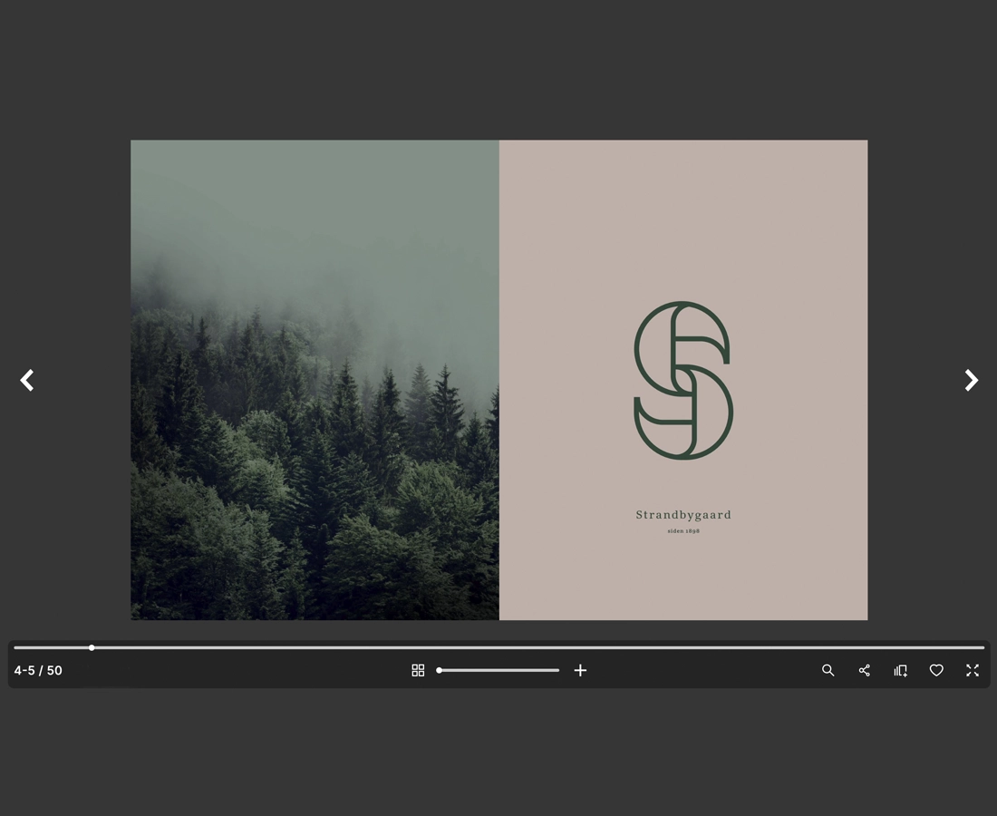 E paper Strandbygaard